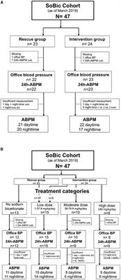 Effect of Oral Sodium Bicarbonate Treatment on 24-Hour Ambulatory Blood Pressure Measurements in Patients With Chronic Kidney Disease and Metabolic Acidosis